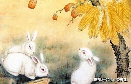 三五结合秋意浓是什么生肖详细解答、专家解答解释落实