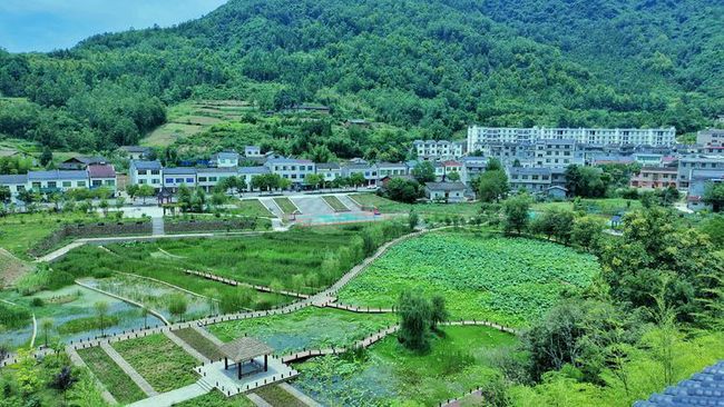 世代为农耕田地，家境贫苦创财富打一准确生肖全面释义、科学解答解释落实