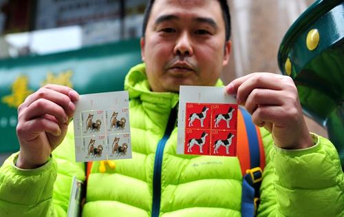勢如破竹，不外如是。一分烏二太容易打一个准确生肖全面释义、专家解答解释落实