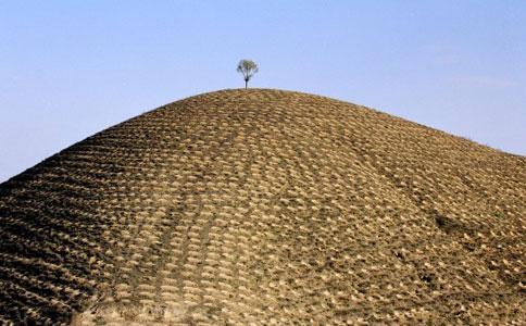 世代为农耕田地，家境贫苦创财富打一准确生肖全面释义、科学解答解释落实