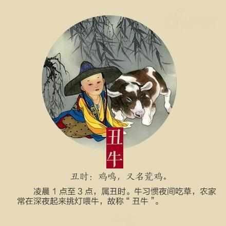 虎落平原被犬欺，古人流传有道理打一个准确生肖、警惕虚假宣传-全面释义、科学解答解释落实
