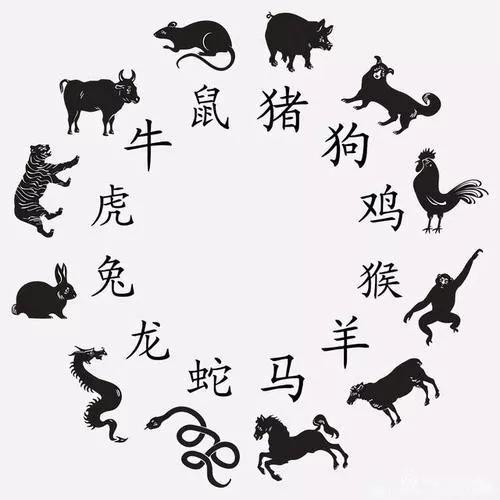 虎落平原被犬欺，古人流传有道理打一个准确生肖、警惕虚假宣传-全面释义、科学解答解释落实
